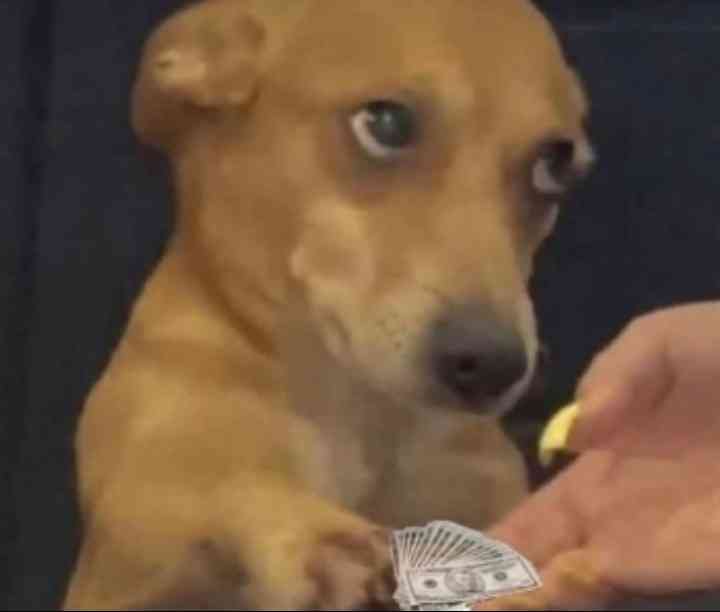 When I pay back what I owe him and he actually accepts it 😒😭 | MirrorLog